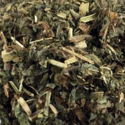 SMALL WILLOW FLOWER C/S