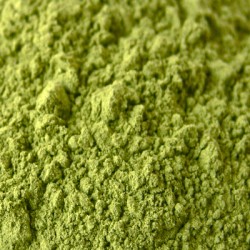 SPINACH POWDER