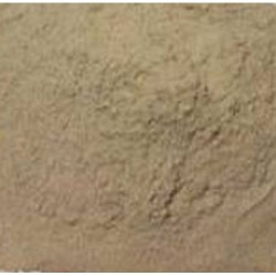 AMLA POWDER