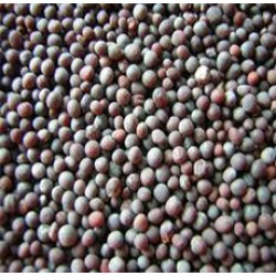 MUSTARD SEED WHOLE BLACK
