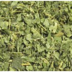 PELLITORY OF THE WALLS HERB C/S