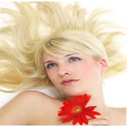 Close To Extremely Sexy Fragrance Oil (WOMEN)