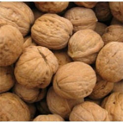 Walnut Husk Exfoliant
