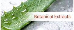 Botanical Extracts