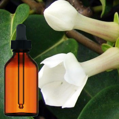 Condurango Bark Tincture