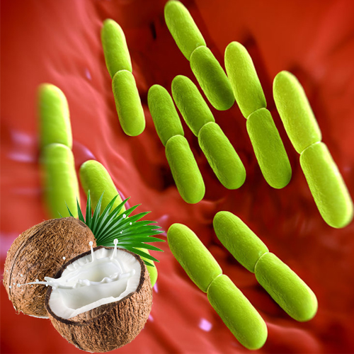 Leucidal Liquid SF Complete