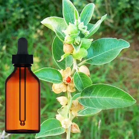 Ashwagandha Tinture