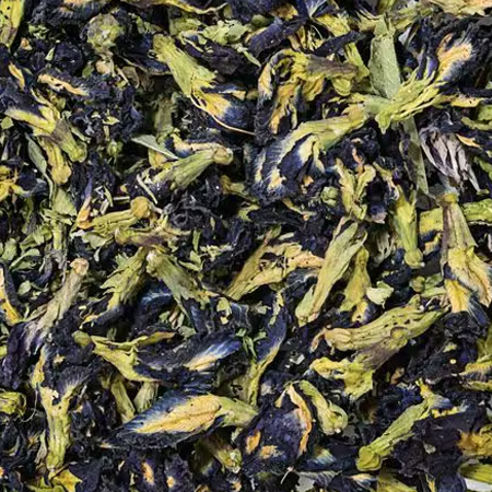 BUTTERFLY PEA FLOWER