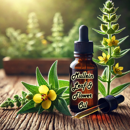 Mullein Leaf & Flower Oil 