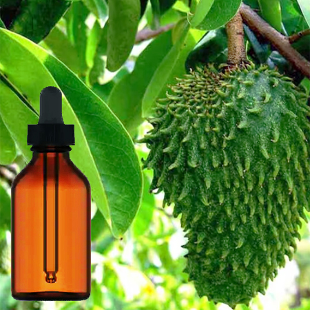 Soursop (Graviola) Tincture