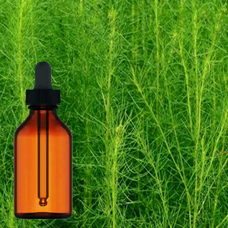 Shitavari Root Tincture