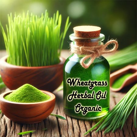 Wheat Grass Oil Organic