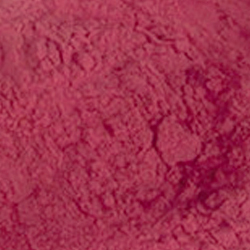 Cranberry Fruit Powder Extract 10:1