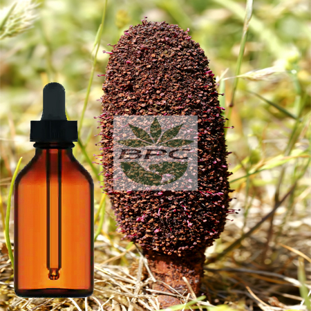 Cynomorium Stem Tincture