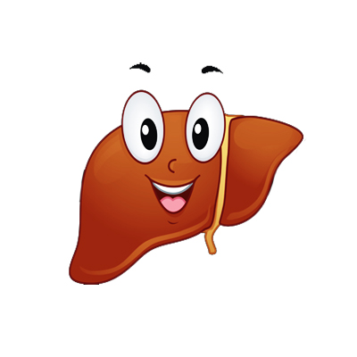 Fatty Liver Detox Tincture 