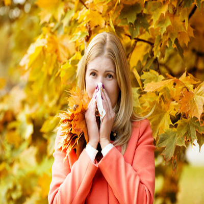 Thieves Synergy Blend New