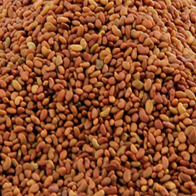 ALFALFA SEED WHOLE