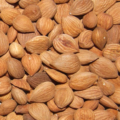APRICOT KERNELS