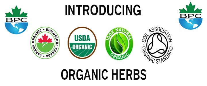 Organic Herbs
