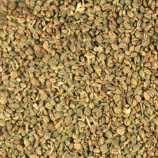 CELERY SEED WHOLE