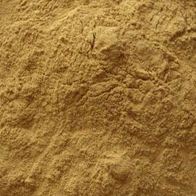 Fennel Seed P.E. 4:1