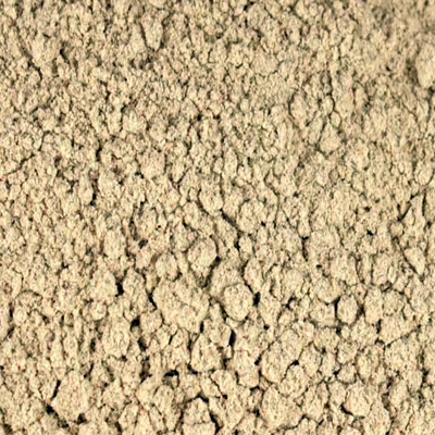 ECHINACEA PURPUREA ROOT POWDER