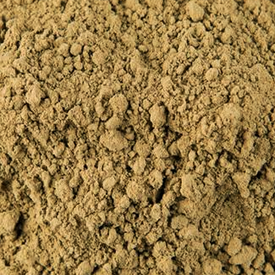 Ginkgo Biloba Leaf P.E. 4:1