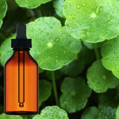 Gotu Kola Liquid Extract