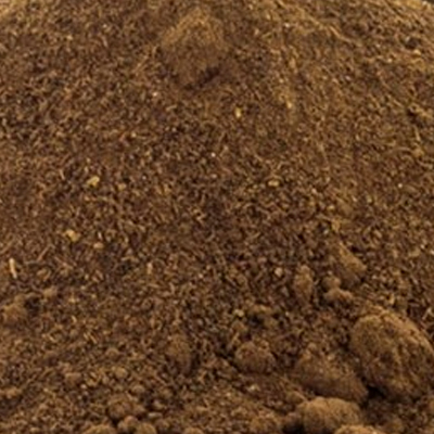 Reishi mushroom S.E 10percent