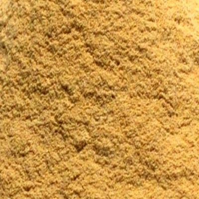 Lemon Peel Powder
