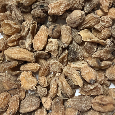 Salab Misri (Orchis mascula)