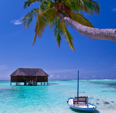 Beach house Fragrance Oil