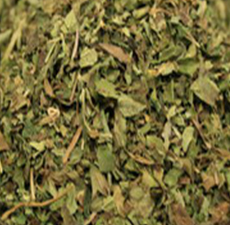 DEER TONGUE LEAF C/S