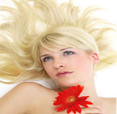 Close To Extremely Sexy Fragrance Oil (WOMEN)