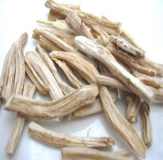 SHATAVARI ROOT WHOLE