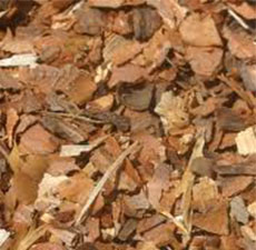 WHITE PINE BARK