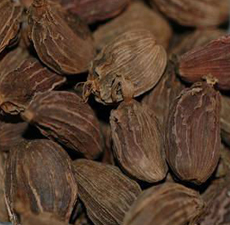 Black Cardamom