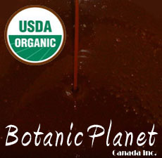 Soy Lecithin (ORGANIC)