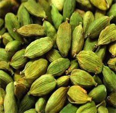 H2O Cardamom  Essential Oil