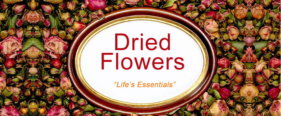 Dried Flowers