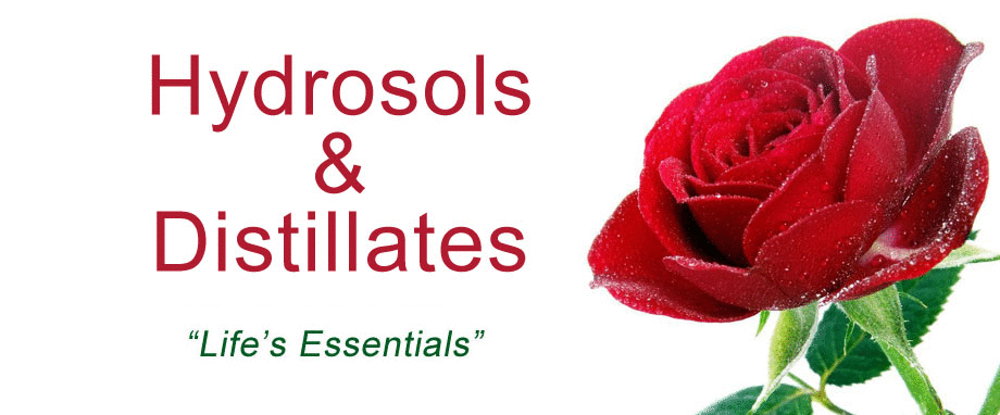 Hydrosols & Distillates