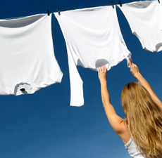 Cotton Crisp Fragrant Oil