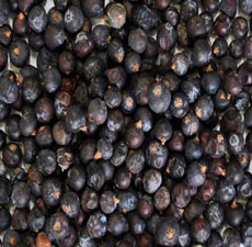 Juniper Berry Floral Water