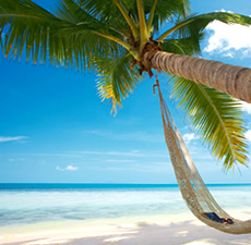 Beach Breeze Fragrant Oil