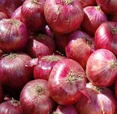 Onion Essential Oil