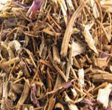 ECHINECEA ANGUSTIFOLIA ROOT C/S