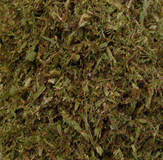 PANSY HERB Cut & Sifted