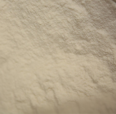 XANTHAN GUM POWDER